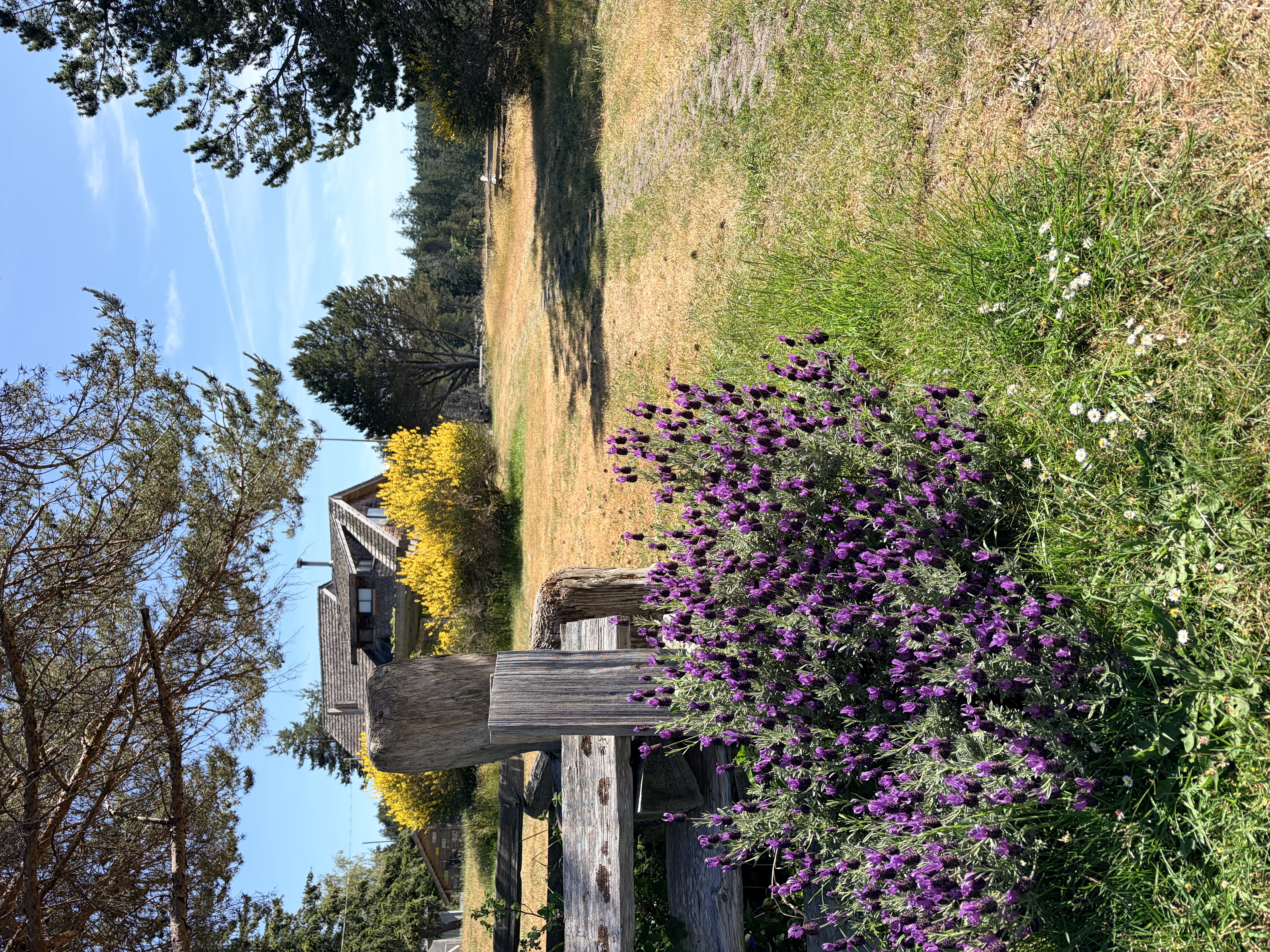 Inline image